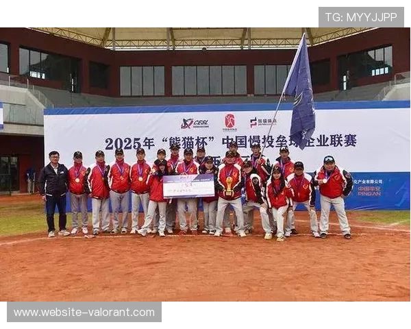 钻石心跳棒垒球队获华西分区赛季军 钻石心跳棒垒球队获华西分区赛季军