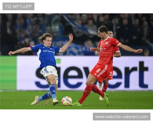 沙尔克04破产警示，德甲球队重视财政健康